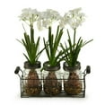 thumbnail image 2 of D&W Silks Paper Whites in Glass Jars in Metal Holder, 2 of 2