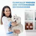 thumbnail image 2 of Forticept Maxi Wash Hot Spot Spray for Dogs & Cats, 8-oz, 2 of 10