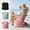 3Pcs Beach Backpack With Wet Dry Compartments Under $5 a1, variant on Fufafayo Beach Backpack For Swimming Gear, Wet Dry Compartment Duffel Bag, Sports Travel Backpack For Men Women, Pool Bag For Swimsuit And Shoe Storage, Outdoor Beach Bag For Gym Vacation