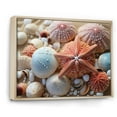 thumbnail image 2 of Designart "Beach Photo Seashell composition VII" Nautical & Beach Floater Framed Wall Decor, 2 of 7
