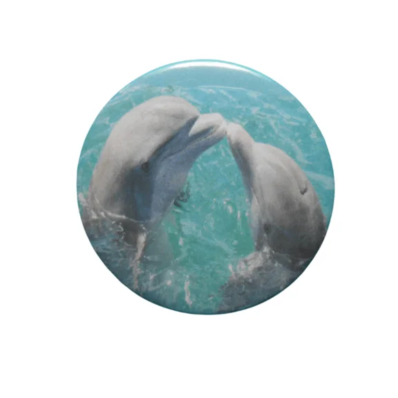 Dolphins Kissing