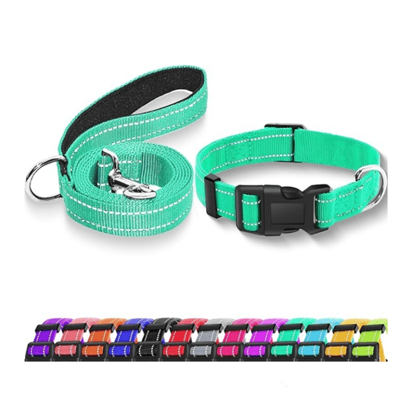 Dog Collar with Safety Locking Buckle, Adjustable Soft Breathable Nylon Collars for Small, Medium and Large Dogs(Collar Leash XS Width 5/8" Turquoise)
