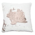 thumbnail image 3 of Funda de almohada Fundas de cojín de tela de ante con lentejuelas y cremallera para decoración del sofá cama del hogarChampagne Gold + White, 3 of 14