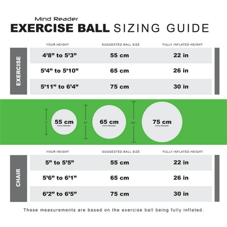 Mind Reader 65 CM Yoga Ball - Black