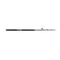 Shakespeare Tidewater Casting Fishing Rod