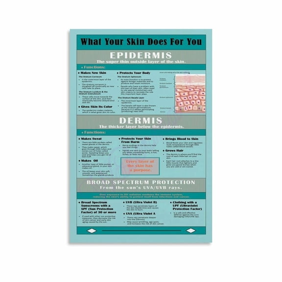 Skin Anatomy Poster Skin Care Posters Canvas Painting Wall Art Poster for Bedroom Living Room Decor