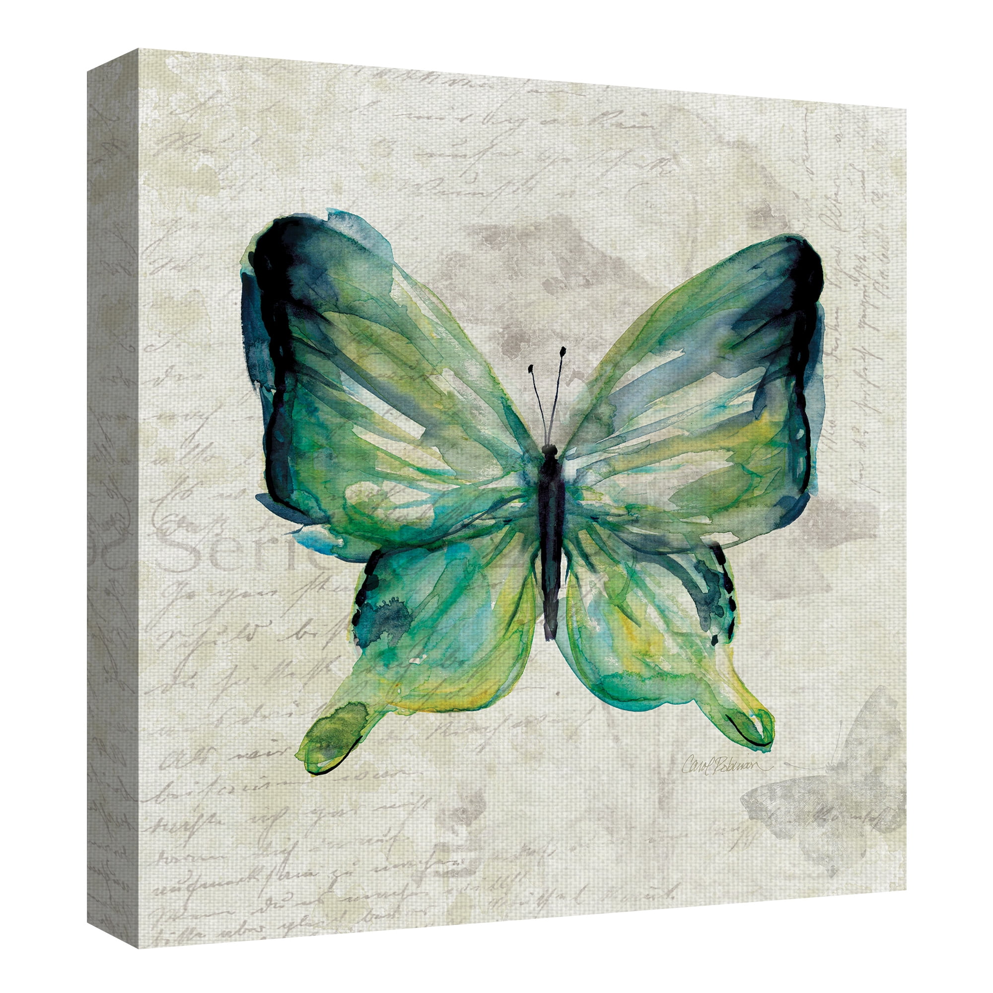 Butterfly Sketch I & II by Carol Robinson Canvas Art Painting Print Set of 2