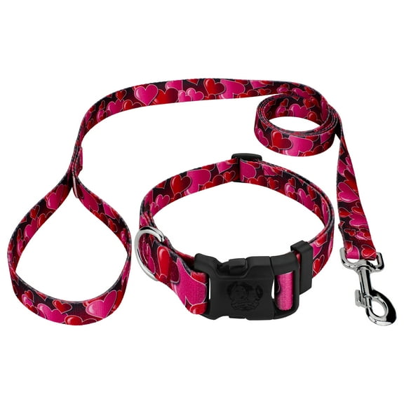 Country Brook Petz® Deluxe Romantic Hearts Dog Collar and Leash, 2XS