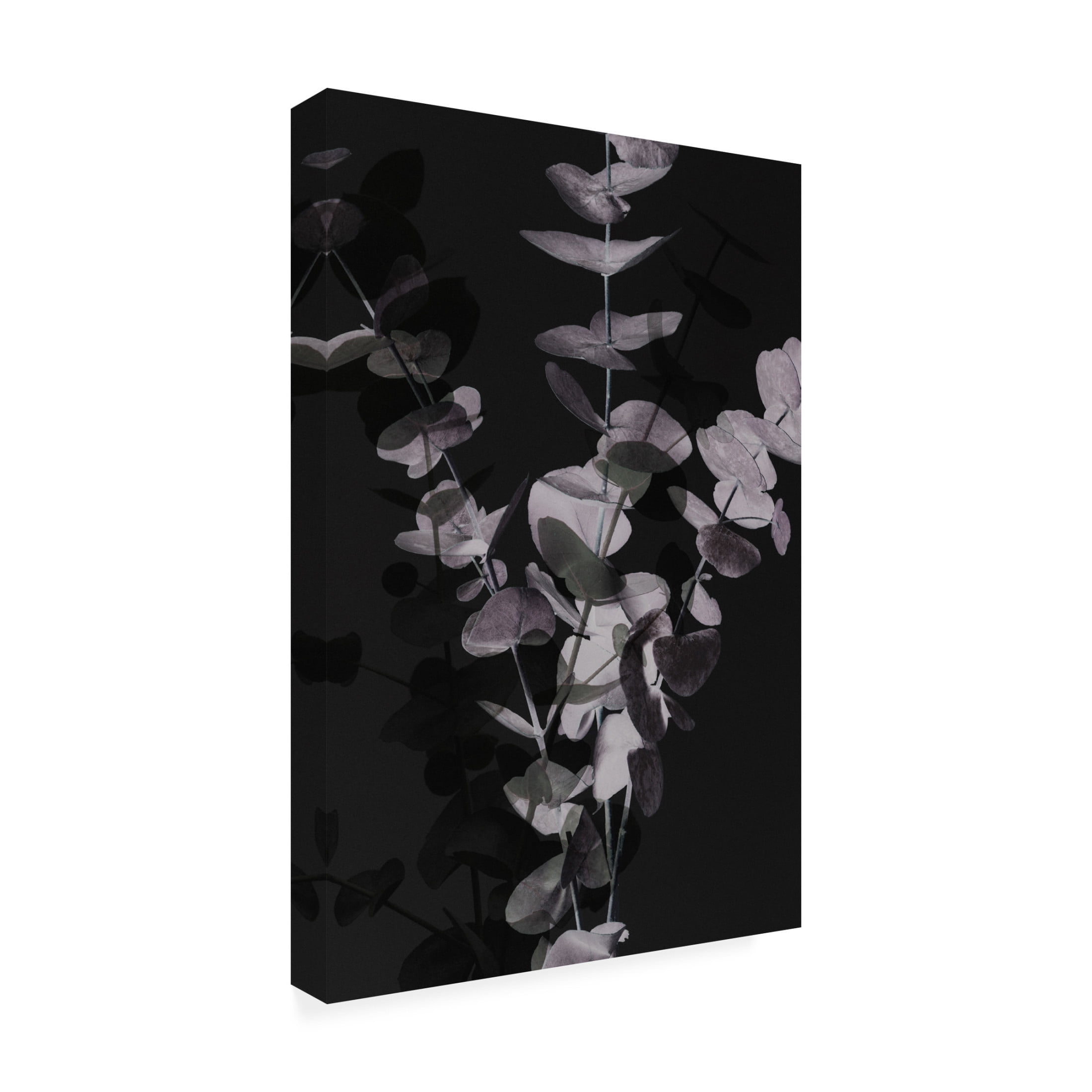 Pictufy Studio III 'Eucalyptus Negative 1' Canvas Art - 22 x 32 Inches