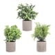 thumbnail image 1 of KAKOWELY 3 piezas de plantas verdes artificiales, pequeñas plantas verdes en macetas, adornos de bonsái., 1 of 5