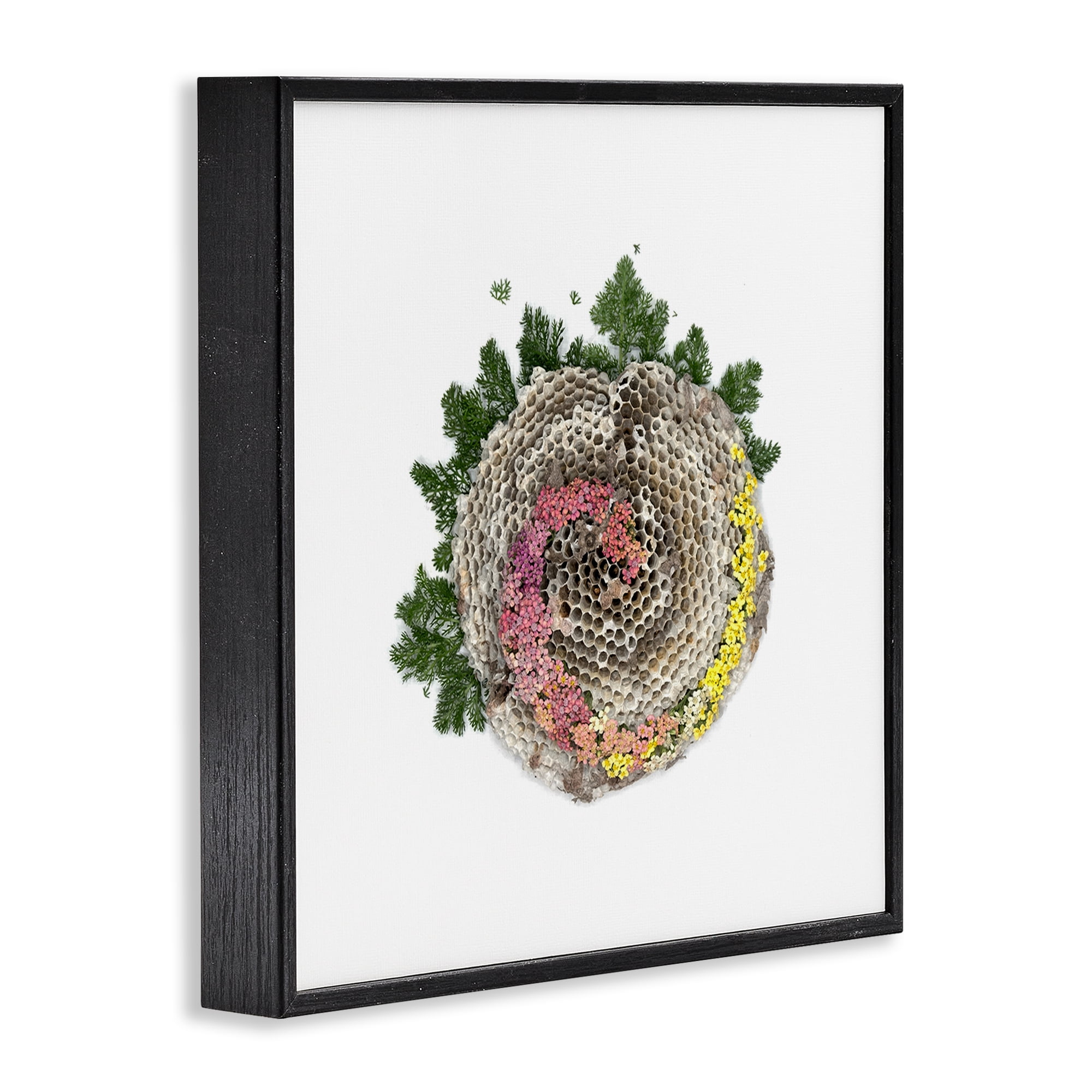Stupell Industries Honeycomb with Botanicals Black Framed Giclee Art, design by Beth Adoette
