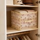 thumbnail image 5 of Caja de Almacenamiento de Ropa Plegable con Estampado de Ardillas | Organizador de Tela de Gran Capacidad de 40 X 30 X 25 Cm | Tapa Anticenizas con Paneles Reforzados Resistentes | Contenedor para Gu, 5 of 6