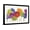 Black Frame, variant on Art.com Colorful Gerbera Daisies Art Print by Carol Rowan, 18" x 12"
