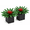 Red-no Pot, variant on Set of 2 Artificial 16.93" Tropical Bromeliad Plants for Outdoor Planters, Front Porch, Patio, Yard, Garden, and Indoor Decor