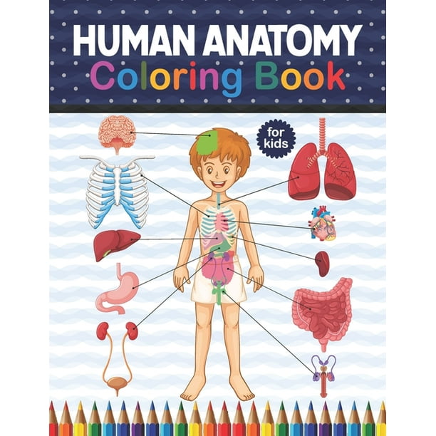 Download Human Anatomy Coloring Book For Kids Human Body Anatomy Coloring Book For Medical High School Students
