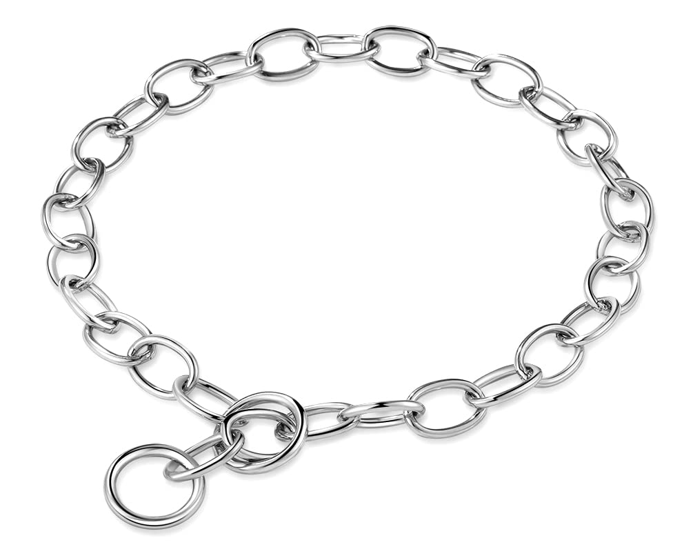 Alainzeo Chain Dog Training Choke Collar, for OnLeash Walking, Long