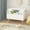 White 02, variant on Bianlte Wood Storage Bench Toy Chest Bench Foot Rest Seat,Toy Chest Bench for Bedroom Living Room,White