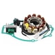 thumbnail image 1 of Estator, regulador y junta alternador para Yamaha XT 125 R / X año 2005-2006, 1 of 12