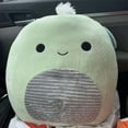 thumbnail image 4 of Squishmallow 16 inch Herb The Turtle - Plush, 4 of 5