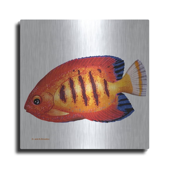 Luxe Metal Art 'Fish 2 Red Yellow' by Olga and Alexey Drozdov, Metal Wall Art, 36"x36"