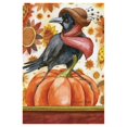 thumbnail image 1 of Toland Home Garden Crow Lady 28 x 40 Inch Decorative Fall Autumn Pumpkin Bird House Flag, 1 of 1
