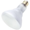 thumbnail image 1 of 03646 65W, Flood Beam Type Reflector Flood Light Bulb, 1 of 1