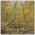 thumbnail image 1 of Picture-Tiles.com: Autumn Ceramic Tile Wall Mural WAL500011-66XL. 72"W x 72"H using (36) 12" x 12" Ceramic Tiles-Satin Finish, 1 of 3