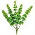 thumbnail image 2 of FBB414-GR 21 in. Green Bells of Ireland Bush X5- Case of 12, 2 of 2