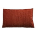 thumbnail image 1 of Ahgly Company Outdoor Rectangular Contemporary Lumbar Throw Pillow, 13 inch by 19 inch, 1 of 5