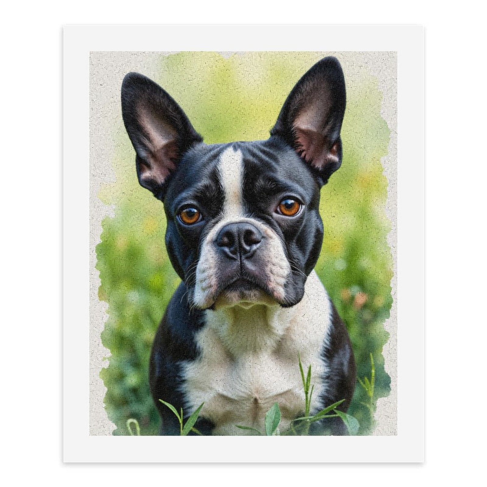 Paint By Numbers Kit for Adults Beginner - Boston Terrier Portrait Garden Bliss DIY Canvas Painting Kits for Adults, Frameless Paint By Number for Adults for Home Wall Decor 16x20 Inch