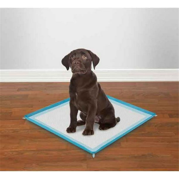 PetEdge ZW5357 19 Clean Go Silicone Puppy Pad Holder Blue Walmart