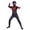 Dark Gray, variant on Superhero Spider Costume, Spider Manlike Full Body Cosplay Suit, Stretch Spandex Jumpsuit, Halloween Party and Costume