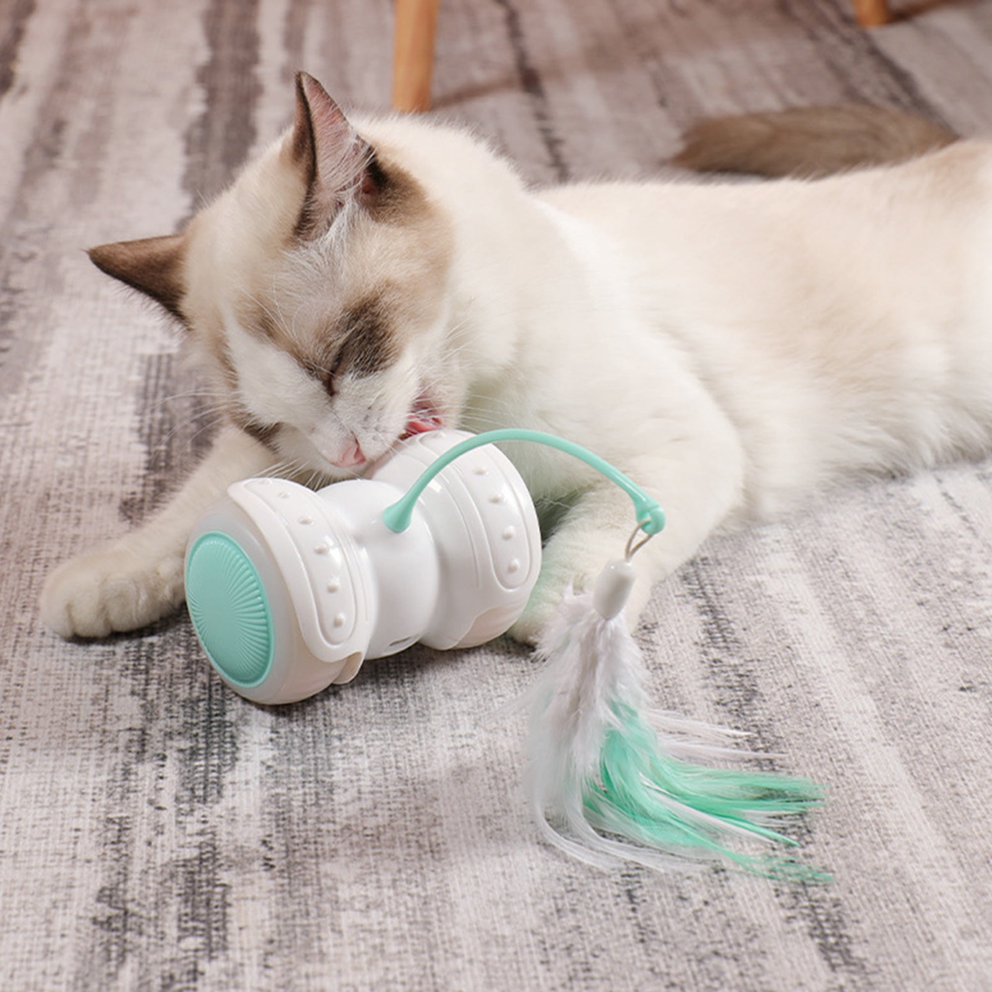 Electric Teasing Cat Toy Smart Remote Control Led Luminous Feather Automatic Cat Teasing Car Walmart Com