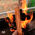 thumbnail image 4 of Energita Ocote Iniciador de Fuego Premium 100% Natural Energita Madera de ocote en astilla, 4 of 5