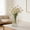 A, variant on YardChic Square Vases, Square Acrylic Vase, Flower Vase, Centerpieces Acrylic Cube Plastic Container Bulk Succulent Pots Planters for Plant Wedding Home Office Floral Decor, 7.9×3.9 Inch