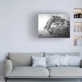 thumbnail image 3 of Yumian Deng 'Barracuda Tornado' Canvas Art, 3 of 3