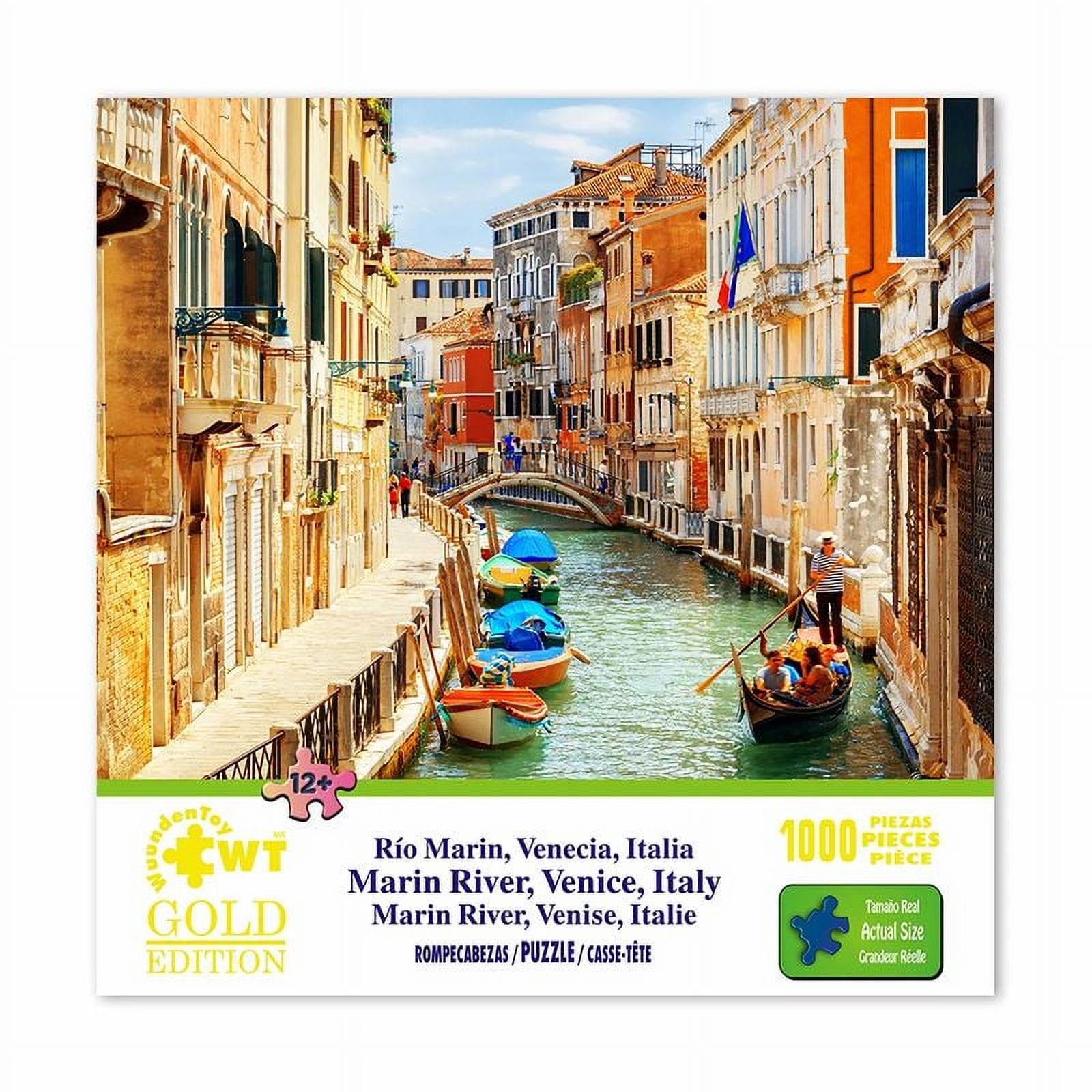 Puzzle 1000 Pièces Grand Canal de Venise en Italie