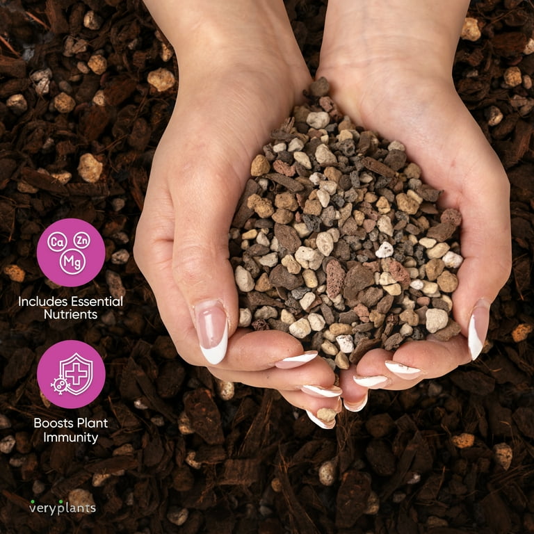 Molly's Succulent Mix - Premium Gritty Soilless Potting Mix for Succulents,  Cactus and Bonsai