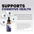 thumbnail image 3 of Neurodyne Liquid Drops – Neuro Dyne Natural Blend Healthy Organic Support, 1 Pack, 1 Month Supply, 3 of 6