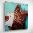 thumbnail image 3 of Epic Art 'Dog Selfie' by Lucia Heffernan, Acrylic Glass Wall Art, 12"x12", 3 of 8