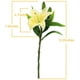 thumbnail image 3 of 5 flores artificiales de lirio, flores falsas de tacto real para bodas, hogar, fiesta, jardín, tienda, decoración de oficina, flores artificiales de lirio de plástico., 3 of 7