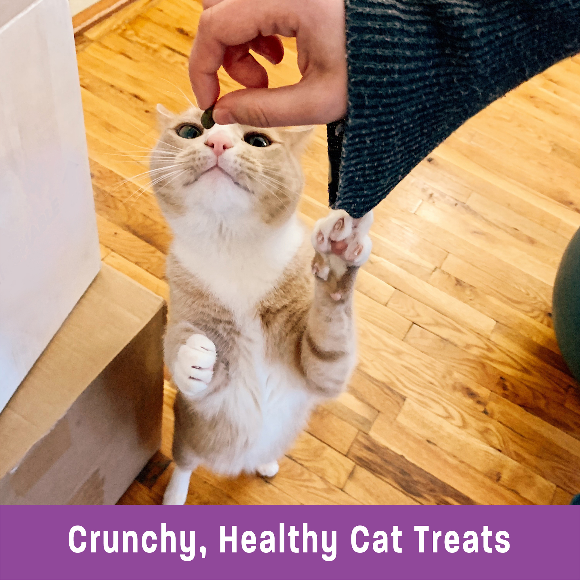 Wellness Kittles Natural Grain Free Cat Treats, Tuna & Cranberries, 6-Ounce Bag - image 5 of 7