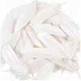 thumbnail image 3 of DIY Floating Feathers for Hair Crafts, Large Decorative Feathers for Wedding and Party Decor, 3 of 4
