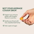 thumbnail image 6 of Beekeeper's Naturals Soothing Honey Ginger Lemon Cough Drops - Immune Support with Vitamin D, Zinc and Propolis Throat Soothing Lozenges, 14 Ct, 6 of 10