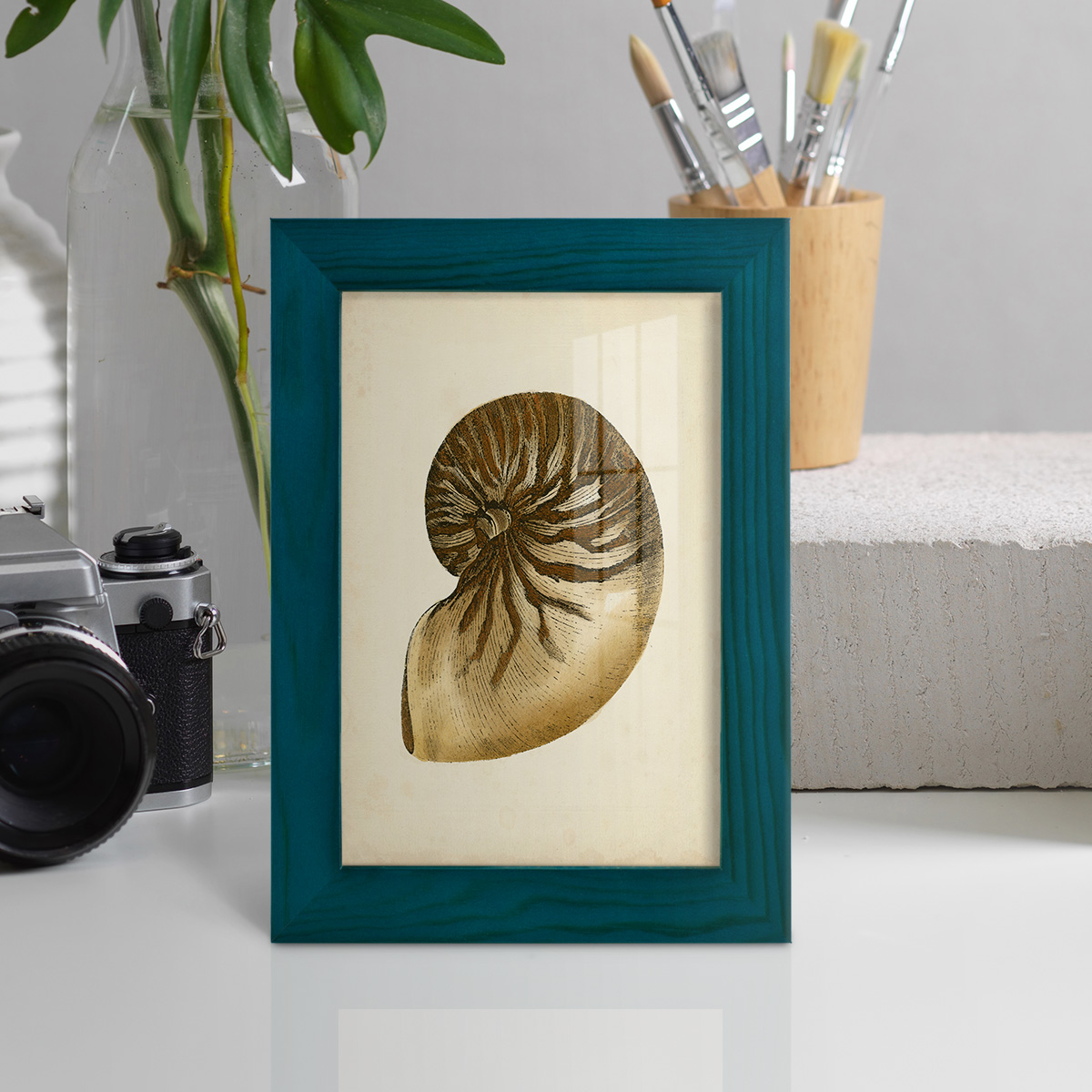 Sealife Collection V - Framed Print w/glass - Ocean Blue