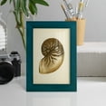 thumbnail image 5 of Sealife Collection V - Framed Print w/glass - Ocean Blue, 5 of 8