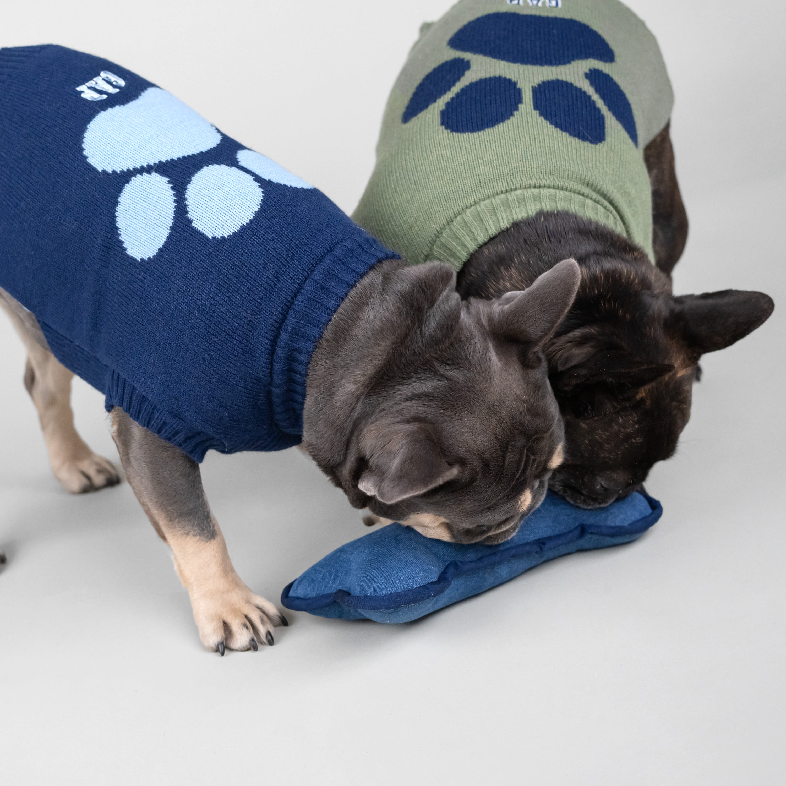 gap cat sweater