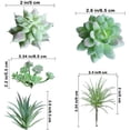 thumbnail image 3 of Mini planta suculenta simulación suculenta tamaño pequeño arreglo floral accesorios suculenta falsa flor de plástico maceta decorativa, 3 of 5