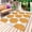 Orange, variant on Brown Dahlia Outdoor Rug 4x6 Ft - Reversible Patio Rug Outdoor Camping Rugs, Vintage Abstract Grey Flowers Floral Washable Indoor Outdoor Area Rugs, Non-Slip Outdoor Carpet Runner for Deck/Porch