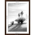 thumbnail image 5 of Art.com Yucca at White Sands II Photographic Print by Douglas Taylor, Brown Frame Wall Art, 32" x 44", 5 of 5